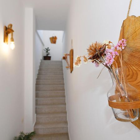 City Nest Shkodër Exterior foto